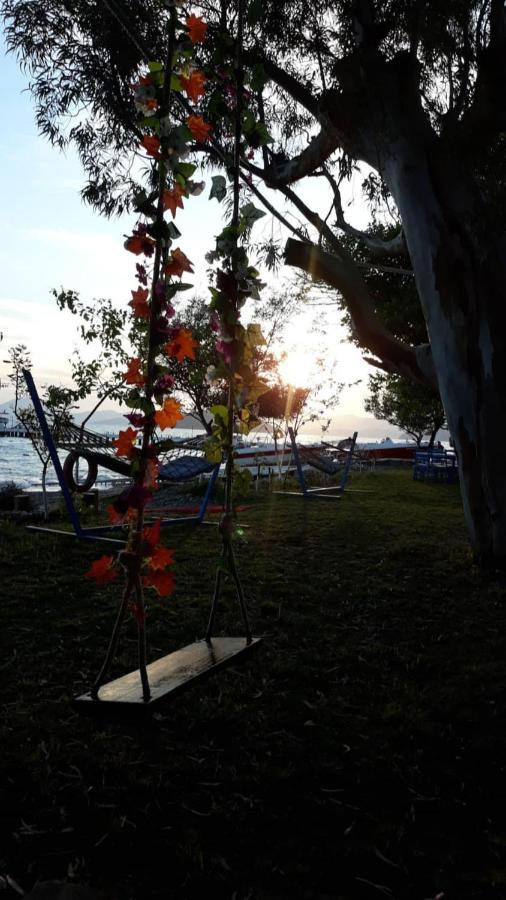 Okaliptus Butik Hotel Fethiye Eksteriør billede