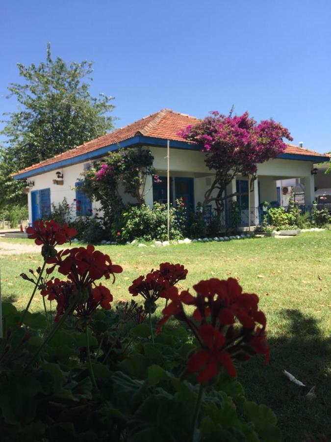 Okaliptus Butik Hotel Fethiye Eksteriør billede